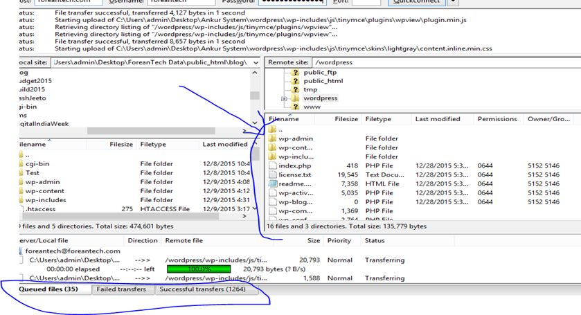 Cpanel in Direct browse